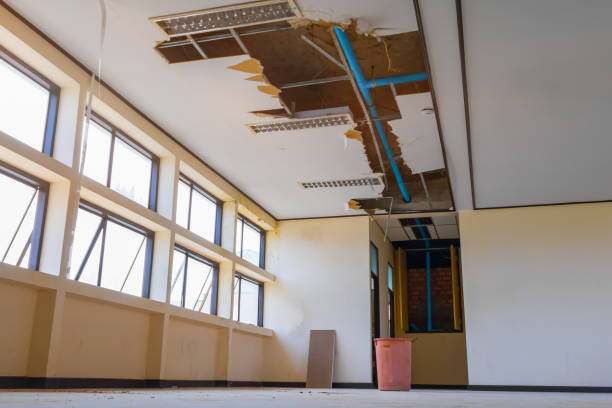 Best Flooded house restoration  in Hurley, WI