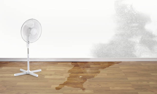Best Emergency water damage restoration  in Hurley, WI